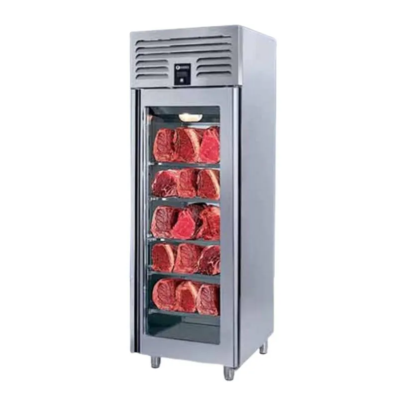 Iceinox DAG 610 Dry Aged Dolap, 1 Kapılı