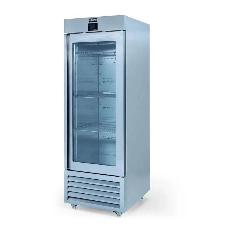 Iceinox DAG 610 B Dry Aged Buzdolabı, 1 Kapılı