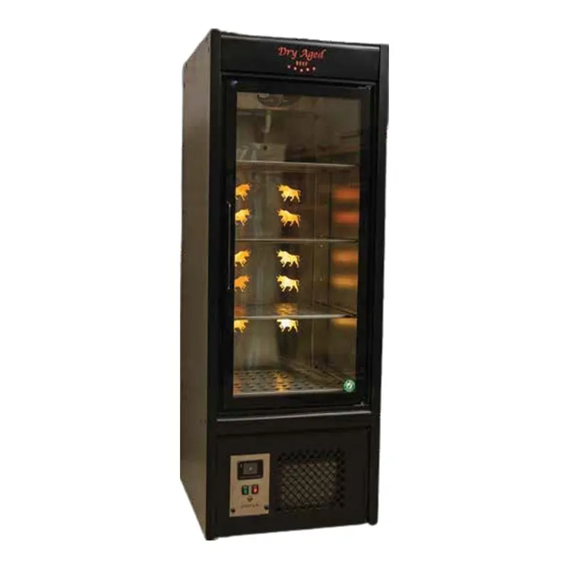 Ekofan Tek Kapılı Dry Aged Buzdolabı