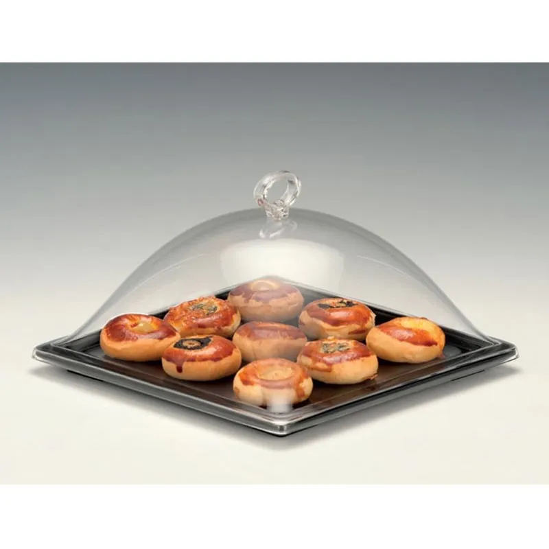 Zicco ZCP-754 Akrilik Kapaklı Melamin Altlı Muhafaza Kabı, 25x25x15 cm